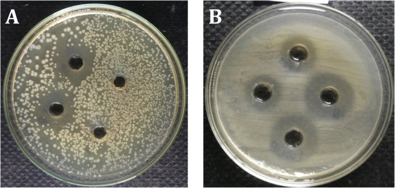 Fig. 10