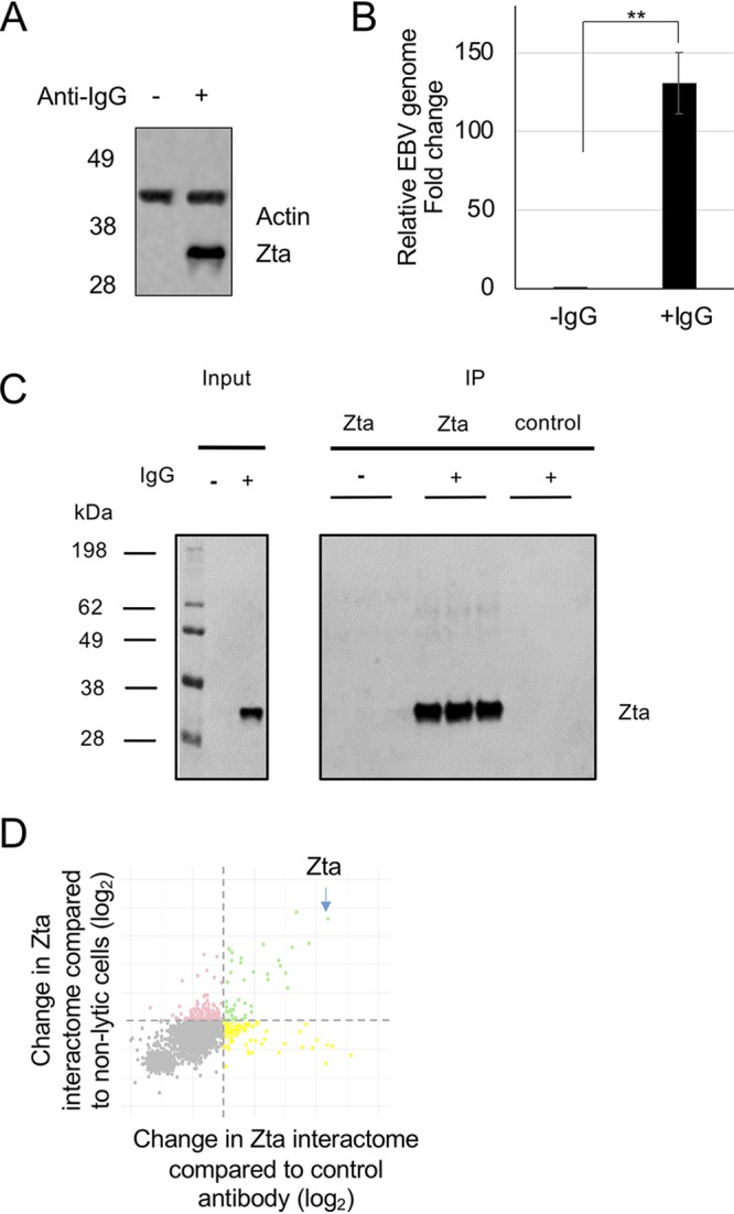 FIG 1