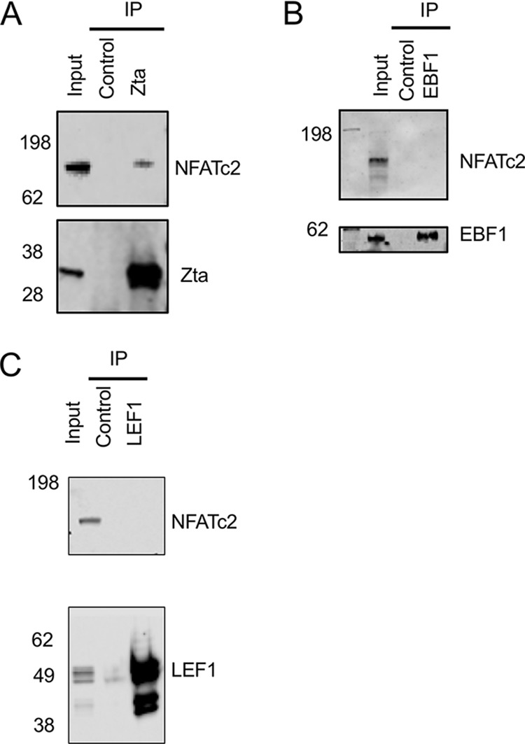 FIG 3