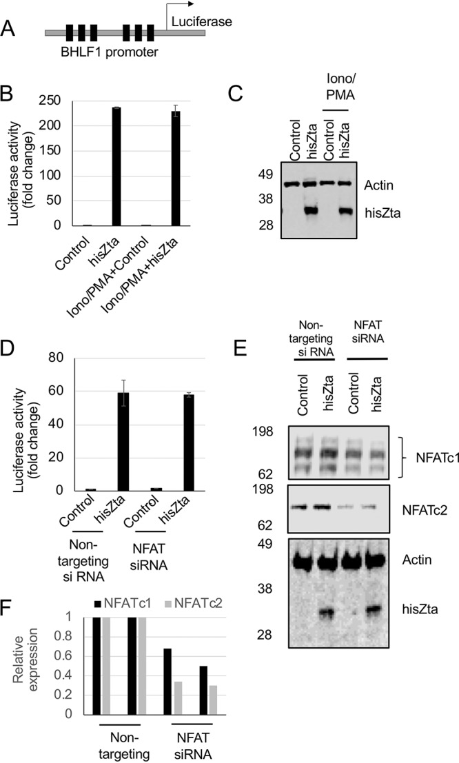 FIG 4