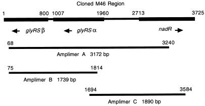 FIG. 1