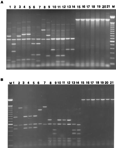 FIG. 5