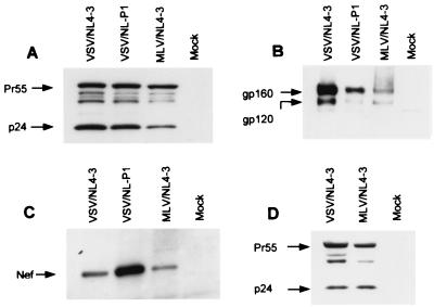 FIG. 4