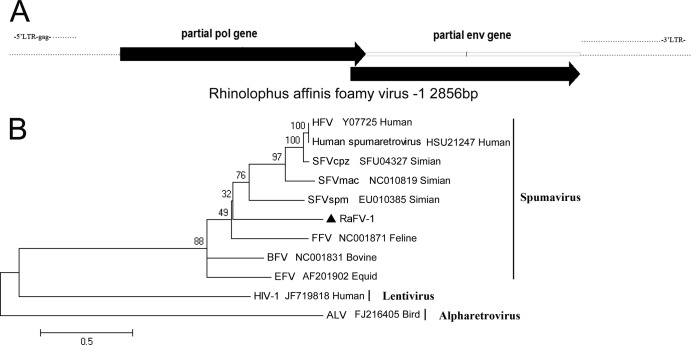 Fig 8