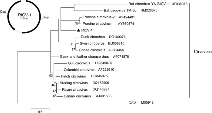 Fig 4