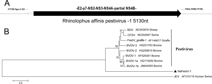 Fig 7