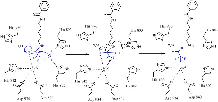 Fig 10