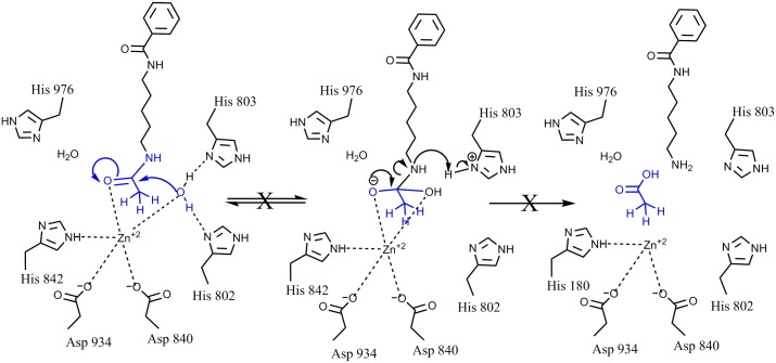 Fig 9