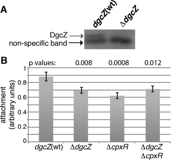 FIG 1