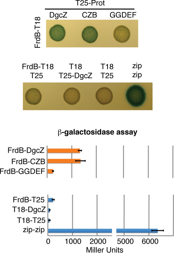 FIG 6