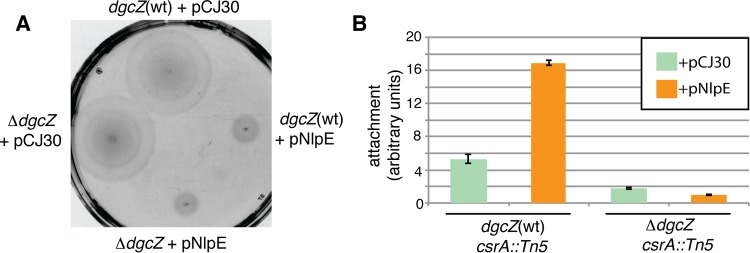 FIG 2