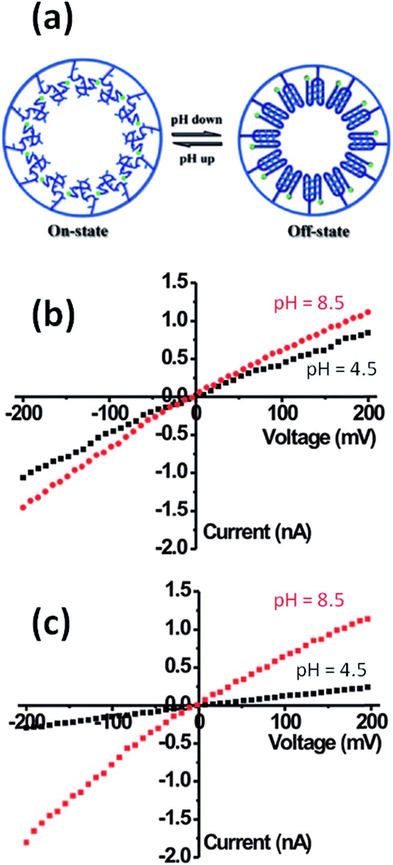 Fig. 11