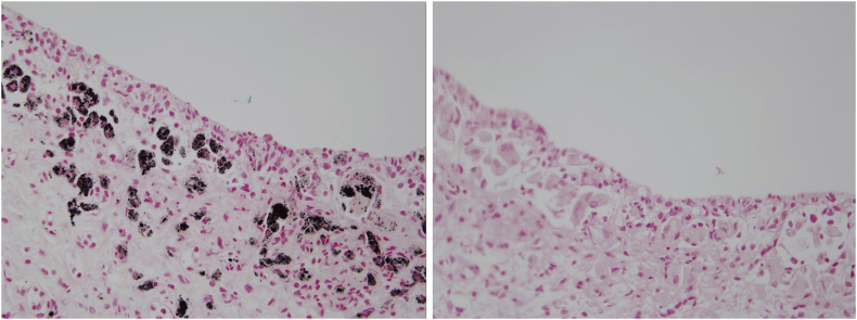 Fig. 2
