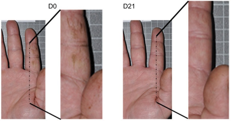 Figure 6