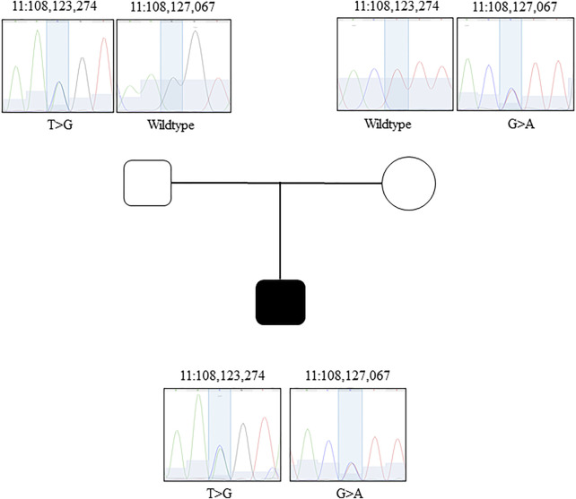 FIGURE 1