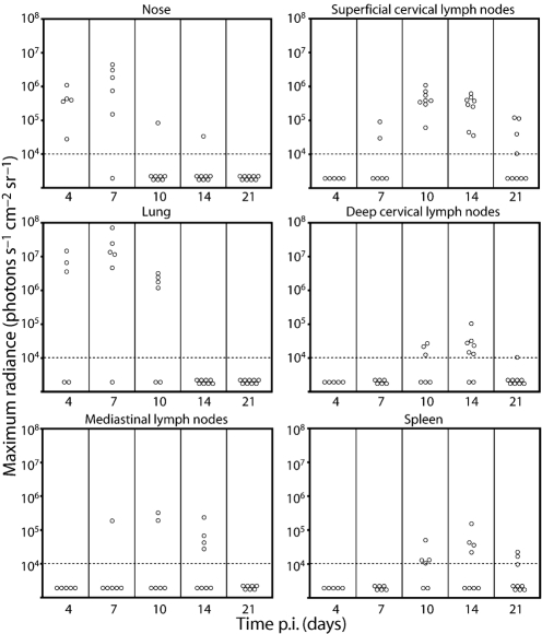 Fig. 4.