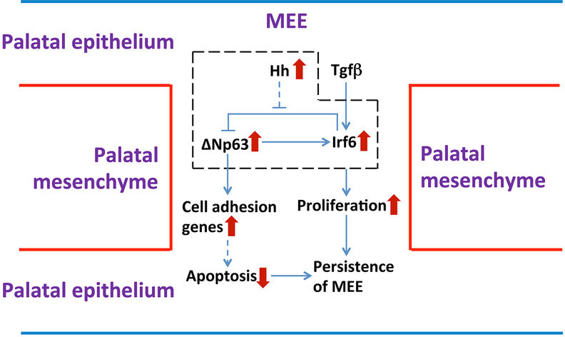 Figure 7.