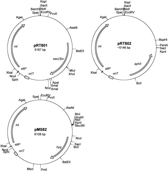 FIG. 2.