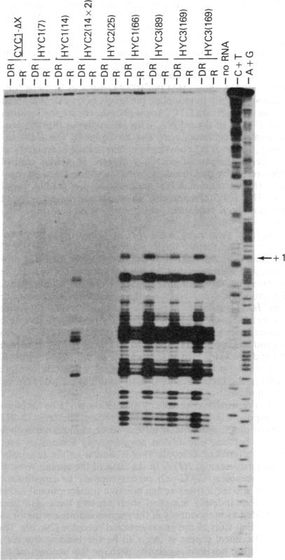 graphic file with name pnas00342-0250-a.jpg