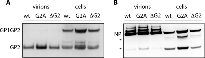 FIG 3