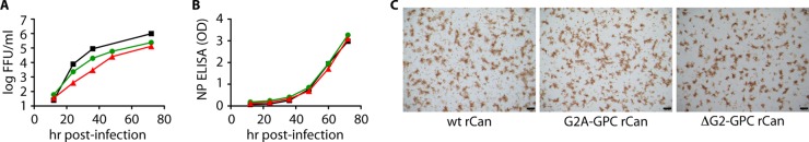 FIG 2