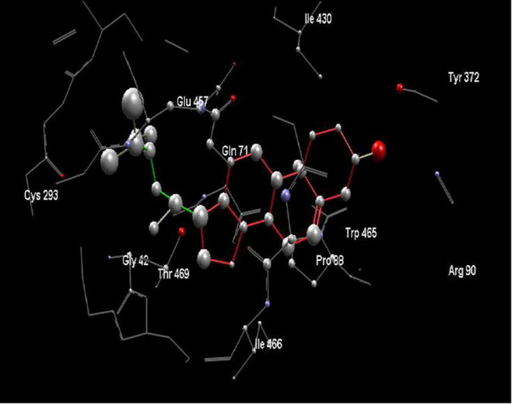 Figure 11