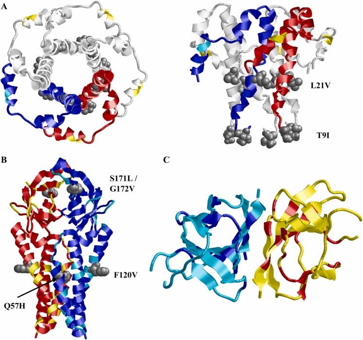 Fig. 4