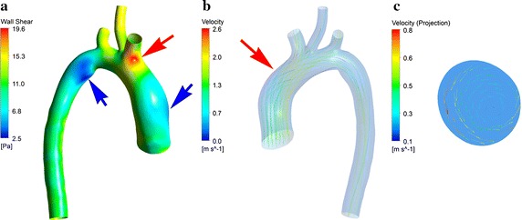 Fig. 5