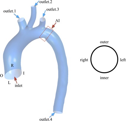 Fig. 1