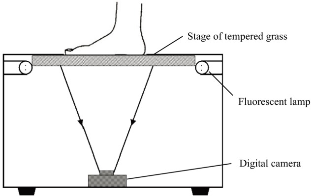 Fig. 1.