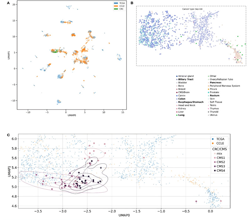 Figure 3