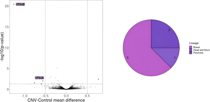 Figure 6