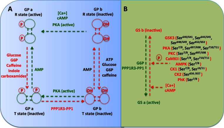 Fig. 3