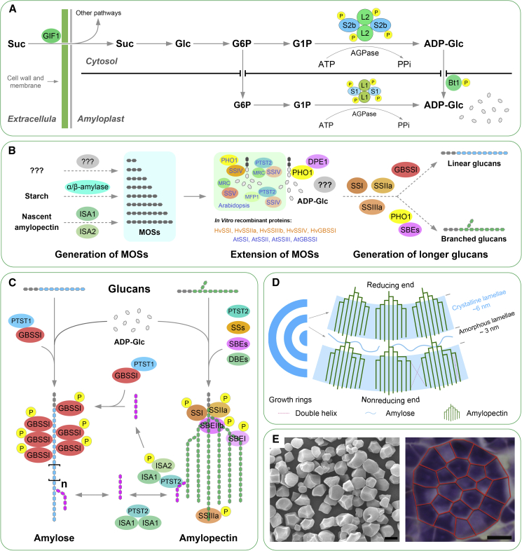 Figure 2