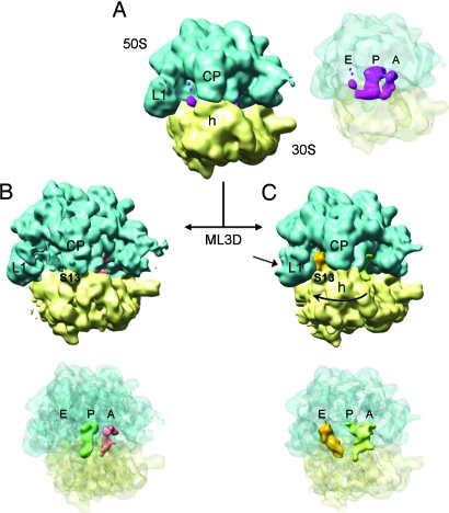 Fig. 1.