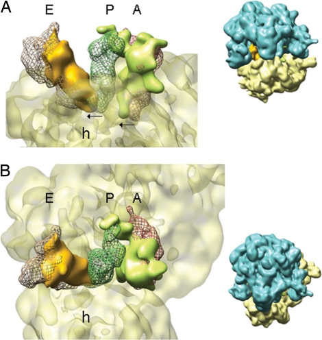 Fig. 2.