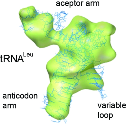 Fig. 3.