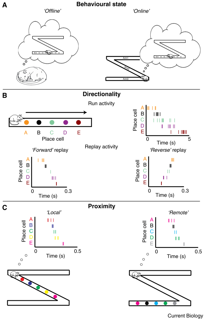 Figure 3