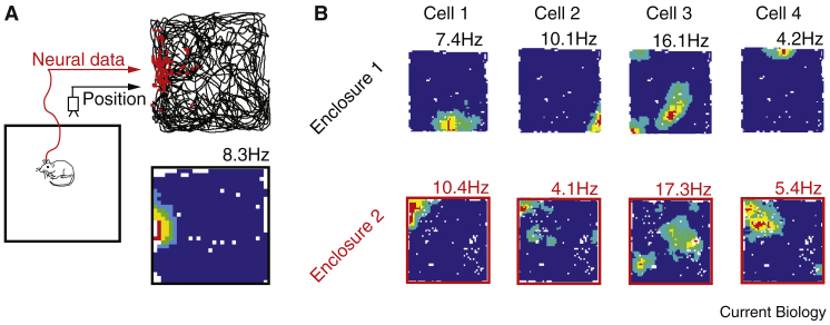 Figure 1