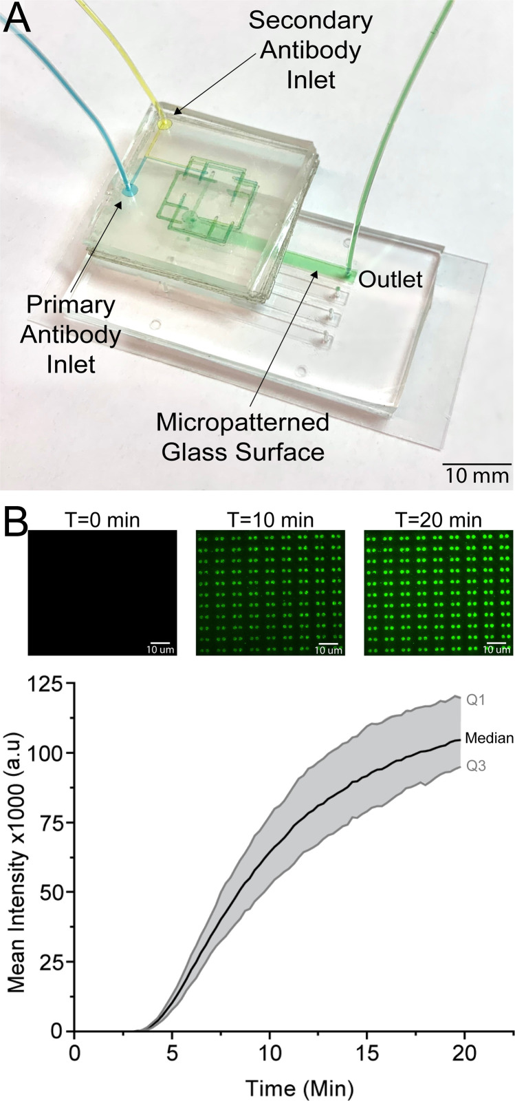 FIG. 6.