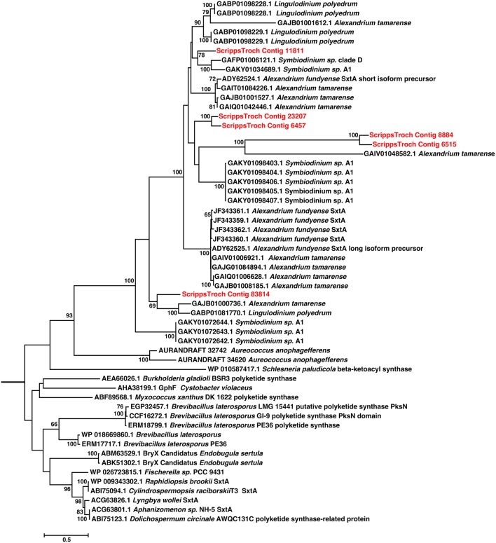 Figure 6