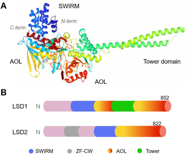 FIGURE 2