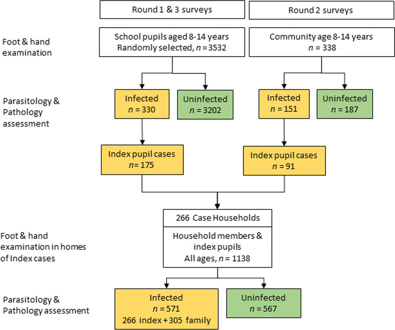 Characterization Of Tungiasis Infection And Morbidity Using 