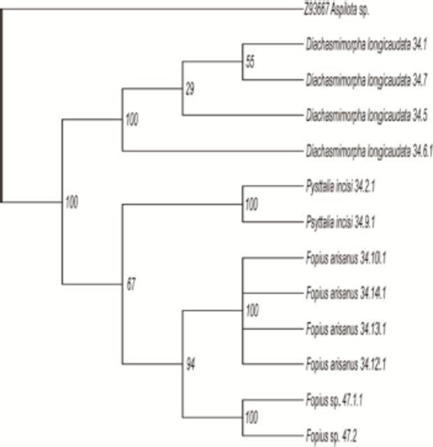 Figure 3.