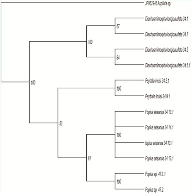 Figure 2.