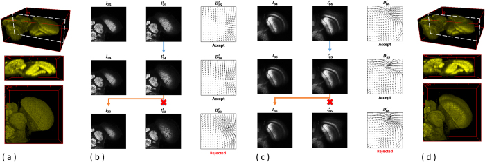 Figure 14