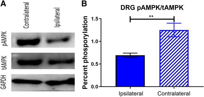 Fig. 10.