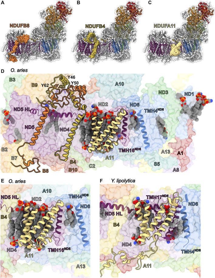 FIGURE 14