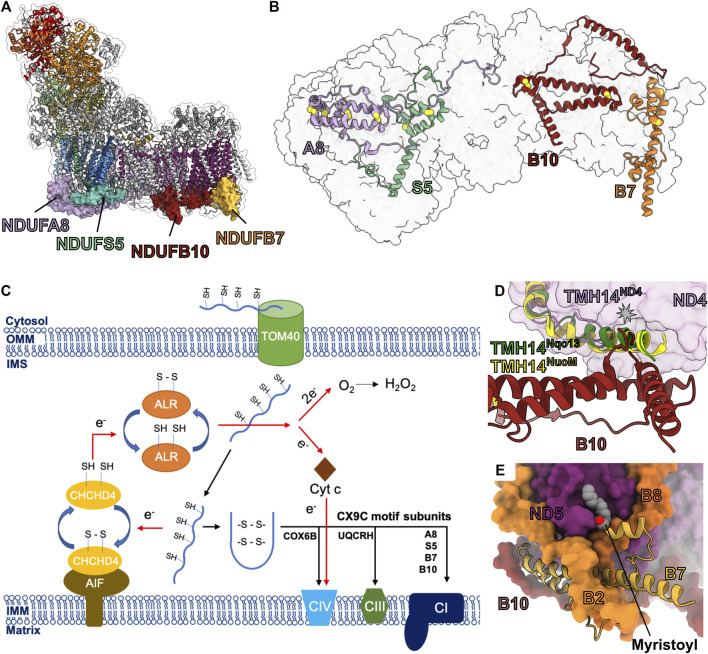 FIGURE 12