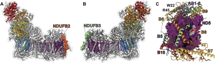 FIGURE 13